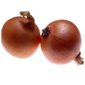 New crop with cheap price fresh onion for sale